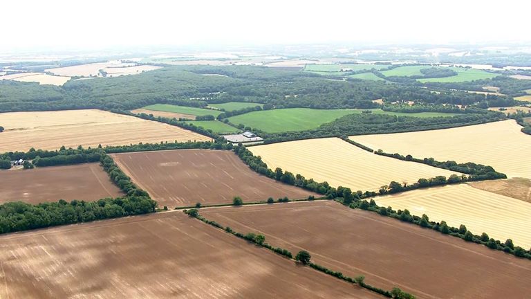 A birds eye view of parched fields, likely farmland, separated by hedgerows into rough squares