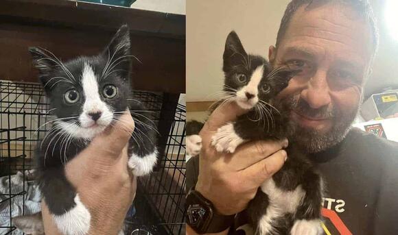Split view, man holding kitten, close up to kitten on left, man smiling into camera holding kitten close to face on the right
